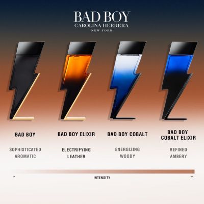 CAROLINA HERRERA Bad Boy Elixir Purškiamas kvapusis vanduo