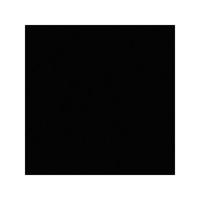 WOLFORD VELVET DE LUXE 50 Pėdkelnės