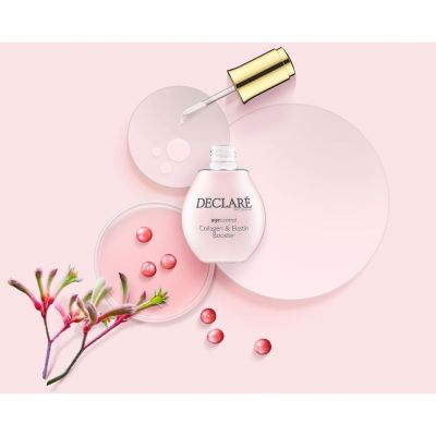 DECLARÉ Collagen & Elastin Booster Serum Stangrinamasis veido serumas