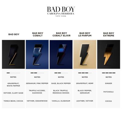 CAROLINA HERRERA Bad Boy Cobalt Elixir Purškiamas kvapusis vanduo